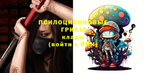 спиды Магас