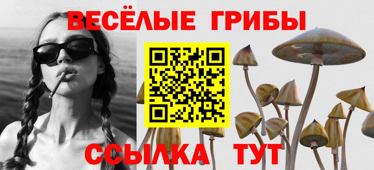 Конаково  Псилоцибиновые грибы MAGIC MUSHROOMS  Вход с VPN 